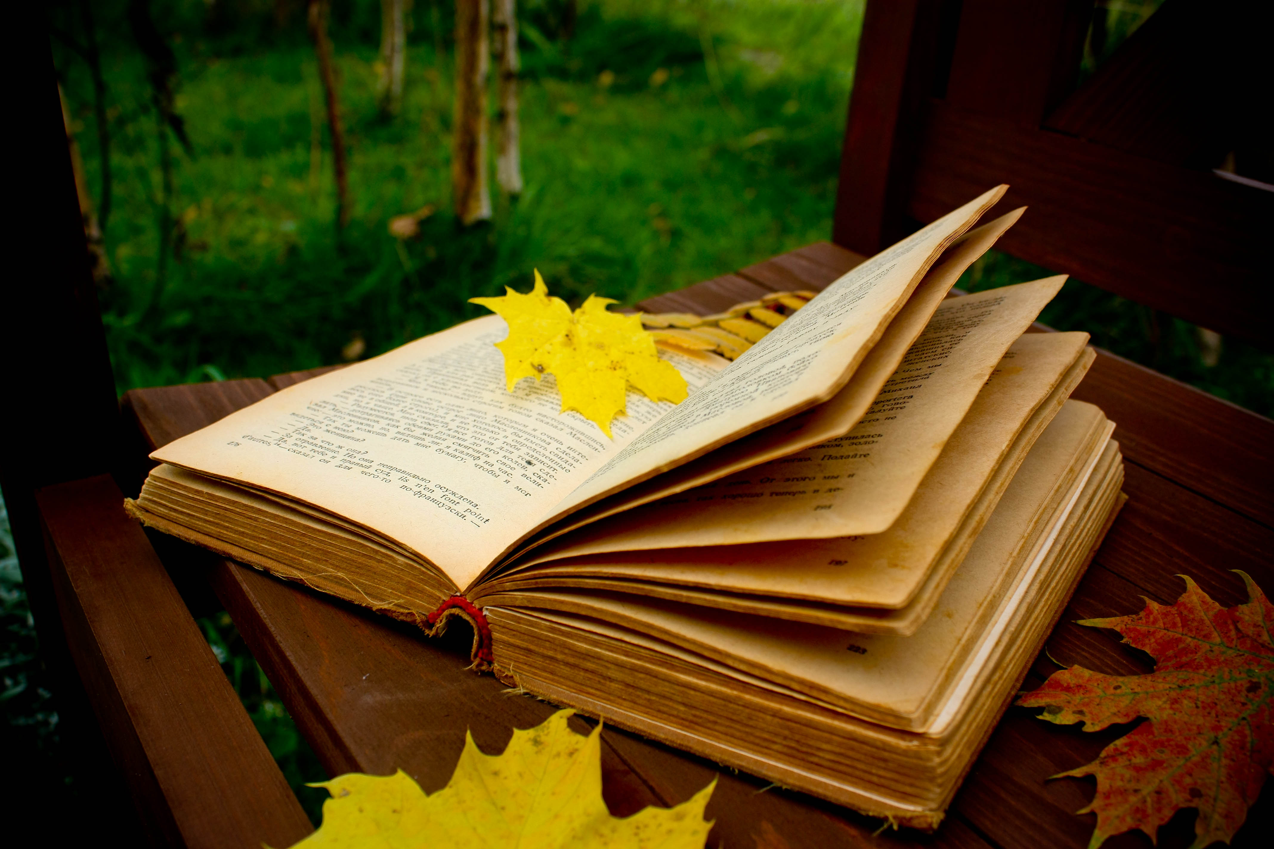 <p>Lecturas para este otoño: clásicos del Siglo XX</p>